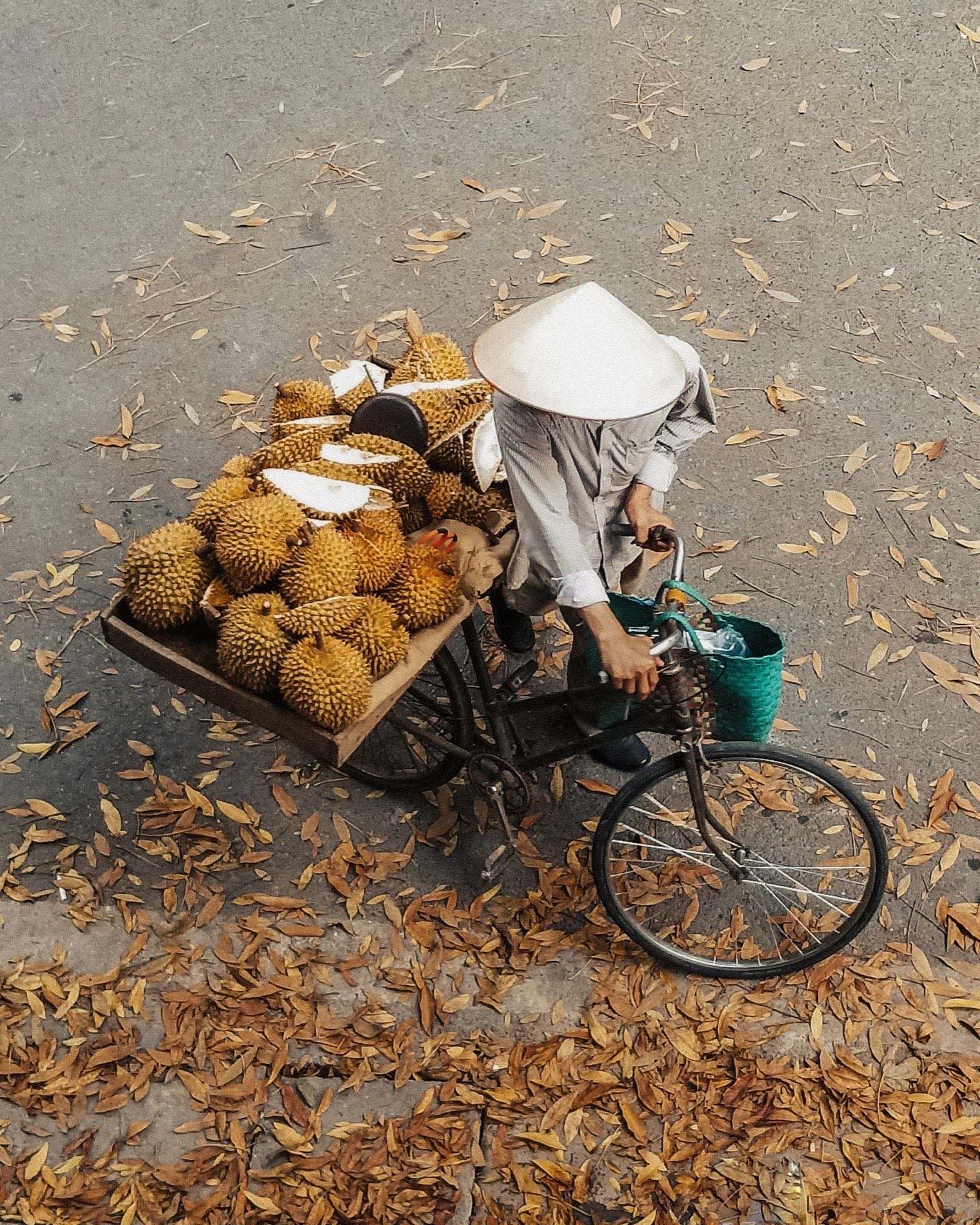 Overhead view of a vendor in a conical hat pushing a bicycle loaded with durians over fallen leaves, Hanoi