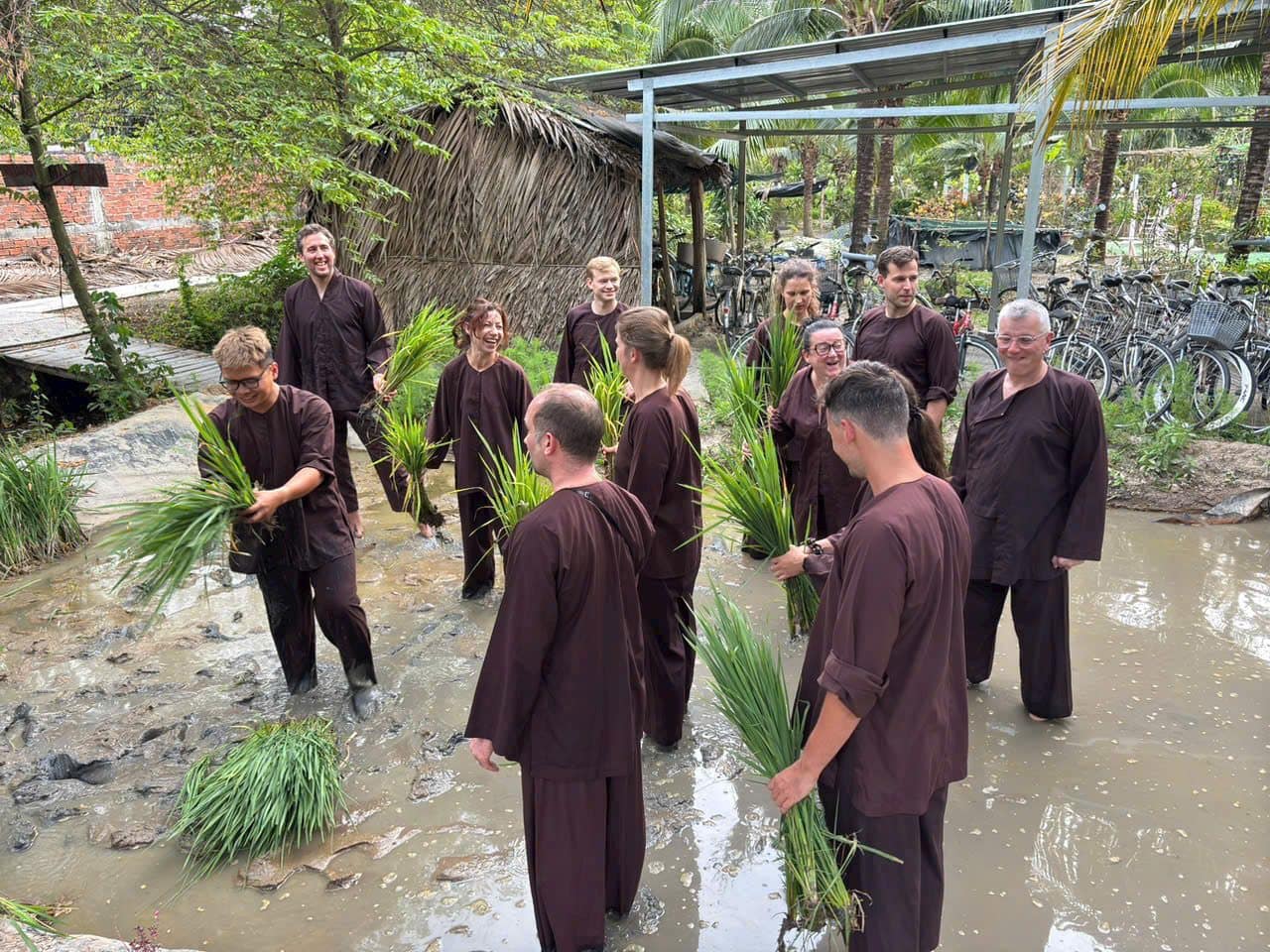 Guests in brown ao ba ba standing in the flooded paddy with handfuls of rice seedlings