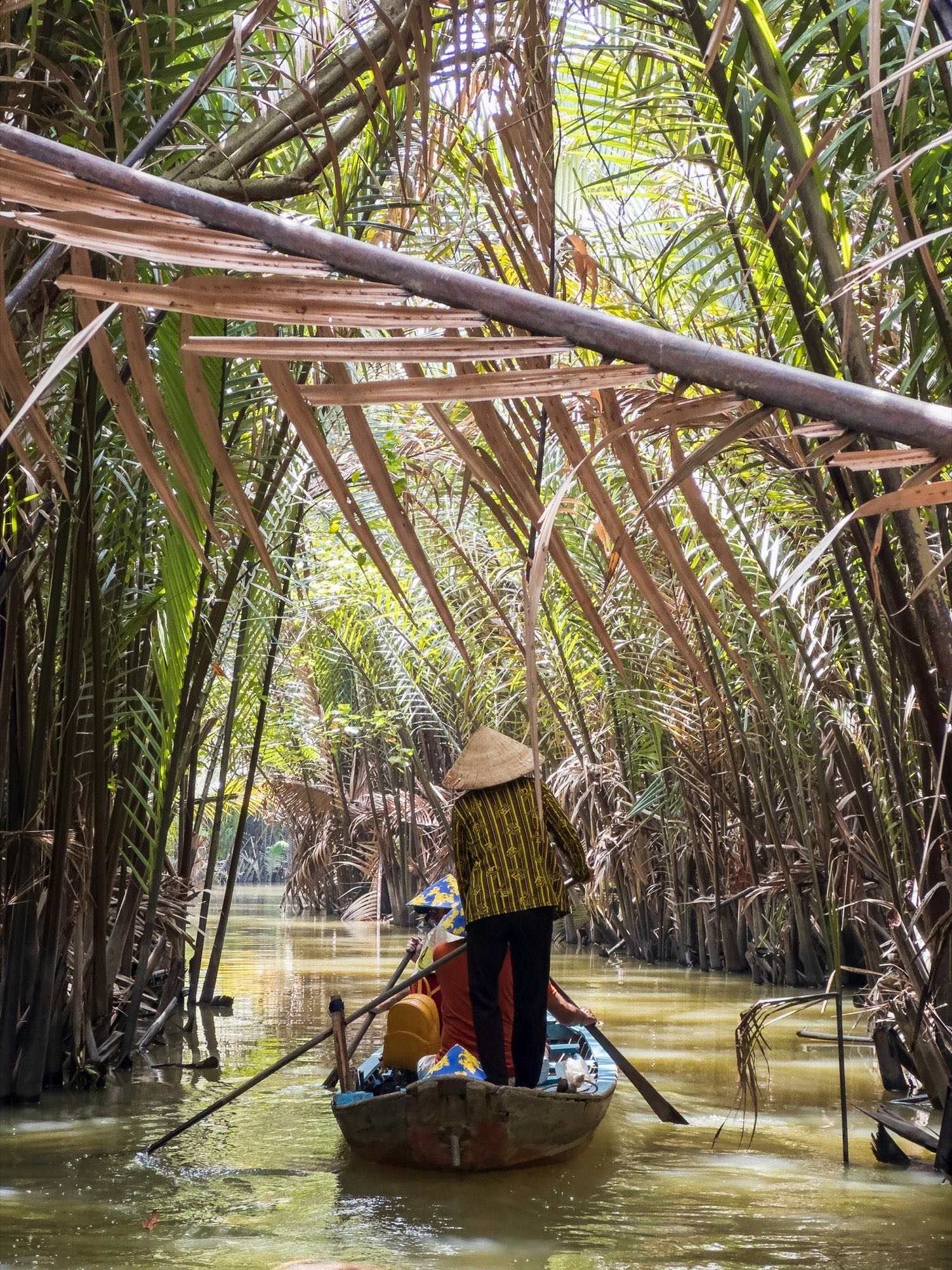 Woman in a conical hat stands rowing a sampan through a tunnel of water palms in the Mekong Delta