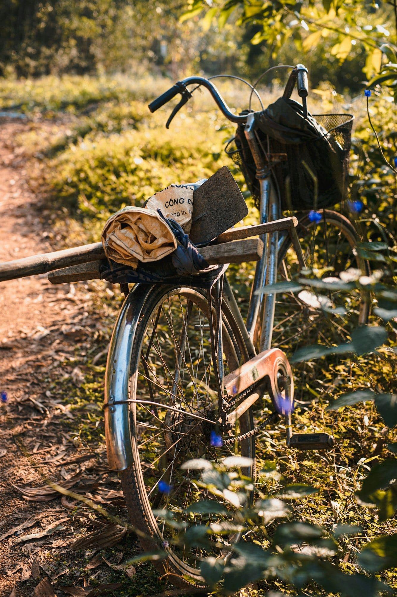 Weathered bicycle with a hoe, rolled sack and basket parked beside a sunlit rural path near Hoi An